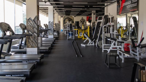 Lion Fitness PRO