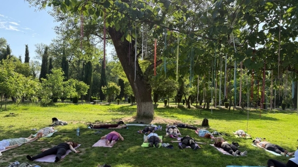 Yogaspace | რუსთავის პარკი